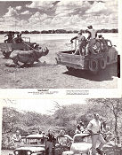 Hatari 1962 photos John Wayne Elsa Martinelli Hardy Krüger Howard Hawks