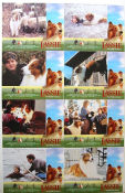 Lassie 1994 lobby card set Helen Slater Tom Guiry Jon Tenney Daniel Petrie Dogs
