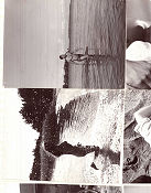 Kuu on vaarallinen 1961 lobby card set Liana Kaarina Esko Salminen Toivo Makela T J Särkkä Finland Poster from: Finland