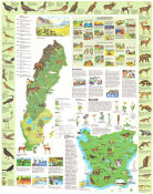 Natur i Sverige 1974 poster Find more: Friluftsfrämjandet Find more: Eslöv-Omsjö Sparbank