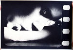 Persona 1966 photos Liv Ullmann Bibi Andersson Margaretha Krook Gunnar Björnstrand Ingmar Bergman