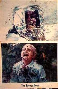 The Savage Bees 1976 lobby card set Ben Johnson Insects and spiders