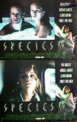 Species 1995 lobby card set Natasha Henstridge Michael Madsen Ben Kingsley Forest Whitaker Roger Donaldson