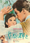 Splendor in the Grass 1961 movie poster Natalie Wood Warren Beatty Pat Hingle Elia Kazan
