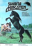 The Black Stallion 1979 movie poster Mickey Rooney Kelly Reno Teri Garr Carroll Ballard Horses Beach