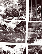 Tarzan´s Greatest Adventure 1959 filmfotos Gordon Scott Sean Connery Anthony Quayle John Guillermin Hitta mer: Tarzan