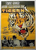 Harry Black 1958 movie poster Stewart Granger Anthony Steel Cats
