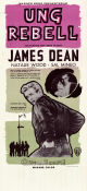 Rebel Without a Cause 1955 movie poster James Dean Natalie Wood Sal Mineo Nicholas Ray Gangs