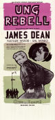 Rebel Without a Cause 1955 movie poster James Dean Natalie Wood Sal Mineo Nicholas Ray Gangs
