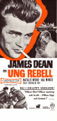 Rebel Without a Cause 1955 movie poster James Dean Natalie Wood Sal Mineo Nicholas Ray Smoking Gangs