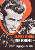 Rebel Without a Cause 1955 movie poster James Dean Natalie Wood Sal Mineo Nicholas Ray Smoking Gangs
