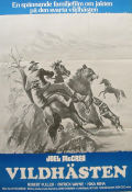Mustang Country 1976 movie poster Joel McCrea Robert Fuller Patrick Wayne John C Champion Horses