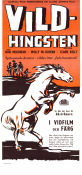 Snowfire 1957 movie poster Don Megowan Molly McGowan Claire Kelly Dorrell McGowan Horses