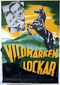 Sand 1949 movie poster Mark Stevens Coleen Gray Rory Calhoun Louis King Mountains Horses