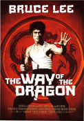 The Way of the Dragon 1972 movie poster Chuck Norris Nora Miao Bruce Lee Martial arts