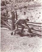 Yellow Sky 1948 filmfotos Gregory Peck Anne Baxter Richard Widmark William A Wellman